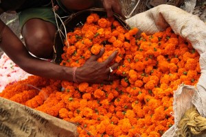 Mullik Ghat Flower Market, Kolkata, India